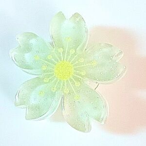 (10 for $16) SALE Resin Flower Croc Charm Jibbit Shoe Charm Disney Croc Charms